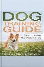 Dog Training Guide: How To Raise The Perfect Dog