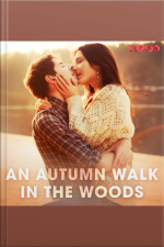 An Autumn Walk In The Woods