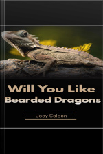 Will You Like Bearded Dragons