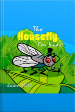 The Housefly For Kids