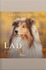 Lad: A Dog