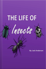 The Life Of Insects