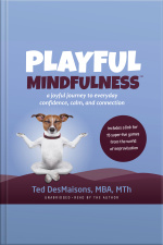 Playful Mindfulness: A Joyful Journey To Everyday Confidence, Calm, And Connection