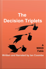 The Decision Triplets