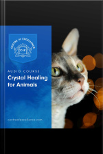 Crystal Healing For Animals