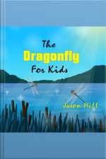 The Dragonfly For Kids