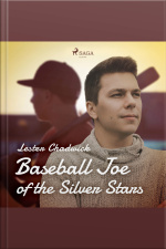 Baseball Joe Of The Silver Stars