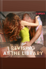 Revising At The Library