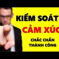 Cách Kiểm Soát CẢM XÚC (Chắc Chắn Thành Công) Nghệ Thuật Làm Chủ Cảm Xúc