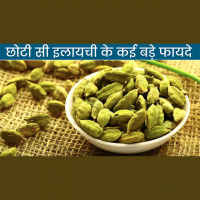 छोटी सी इलायची के है कई बड़े फायदे ,इस्तेमाल कर पाये कई गंभीर बीमारियों से छुटकारा