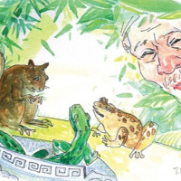 Tình bạn của Cóc Tía và Sóc Bông Lau