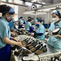 Chuyển đổi xanh - Ngành dệt may, da giày trước mục tiêu xanh hóa (8/5/2025)