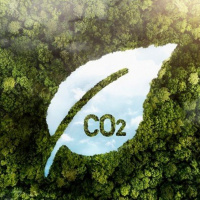 Chuyển đổi xanh - Thị trường carbon, cơ hội cho Việt Nam