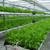 VOV - Sống chung với biến đổi khí hậu (27/3/2019)