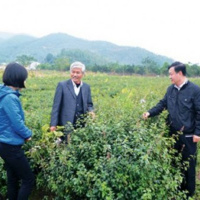 VOV - Kết nối công nghệ: Khai thác nguồn tài nguyên dược liệu Việt Nam - Cần đẩy mạnh liên kết nhà khoa học, doanh nghiệp