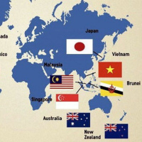 Ứng dụng công nghệ để nâng cao sức cạnh tranh - nhìn từ câu chuyện thanh toán trên di động.