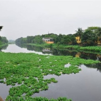 Tài nguyên môi trường - Luật Tài nguyên nước sẽ hồi sinh những “dòng sông chết”