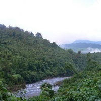 Phục hồi rừng tự nhiên để giảm nhẹ thiệt hại do biến đổi khí hậu gây ra (16/1/2019)