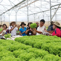 VOV - Kết nối công nghệ: Giải pháp khuyến khích nông dân áp dụng các sản phẩm khởi nghiệp nông nghiệp công nghệ cao