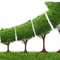 Chuyển đổi xanh - Tăng trưởng xanh để phát triển xanh