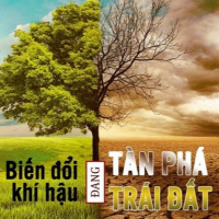 Biến đổi khí hậu: Bảo tồn và Phát huy giá trị đa dạng sinh học tại các vùng đất ngập nước