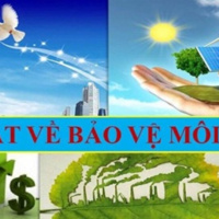 Tài nguyên môi trường - Sau 1 năm Luật Bảo vệ môi trường có hiệu lực – Số vụ vi phạm pháp luật về môi trường giảm