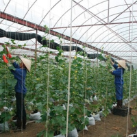 Kết nối công nghệ - Đẩy mạnh phát triển các giải pháp KHCN giúp phát triển nông nghiệp bền vững – xu thế tất yếu