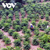 Tài nguyên môi trường - Luật đất đai 2024: “Cởi trói” cho các địa phương trong chuyển mục đích sử dụng đất