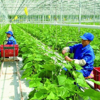 Biến đổi khí hậu: Xây dựng nền nông nghiệp xanh, thích ứng với biến đổi khí hậu
