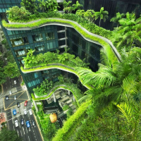 Chuyển đổi xanh - Phát triển không gian xanh trong đô thị (19/06/2025)