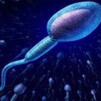 Tinh binh và những điều bí ẩn