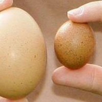 Tinh hoàn không đều nhau có lo ngại? (P5)