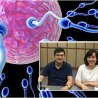 Lưu trữ tinh trùng và những điều cần biết