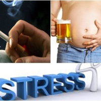 Thói quen sinh hoạt nào ảnh hưởng đến chất lượng con giống
