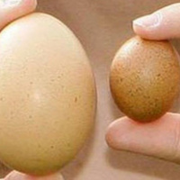 Tinh hoàn không đều nhau có lo ngại? (P1)