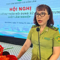 Tin trong nước - Lấy ý kiến về hồ sơ đề nghị sửa đổi, bổ sung Luật Lâm nghiệp