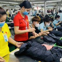 Tin trong nước - Đẩy mạnh liên kết chuỗi trong sản xuất để nâng cao năng lực cạnh tranh