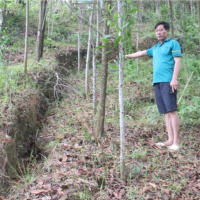 Tin trong nước - Quảng Bình: Sườn núi bị nứt, người dân lo sợ sạt lở trong mùa mưa bão