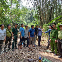 Tin trong nước - Quyết tâm bảo vệ những cánh rừng ở Lai Châu trước “giặc lửa”