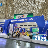 Tin trong nước - Đã sẵn sàng cho Lễ khai mạc Hội chợ mùa thu lần thứ nhất - 2025 vào lúc 20h tối nay (25/10/2025)