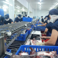 Tin trong nước - Tiền Giang: Nhiều doanh nghiệp phấn khởi tổ chức khai trương đầu năm