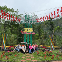 Tin trong nước - Du khách đến Quảng Bình dịp Tết Giáp Thìn 2024 tăng cao