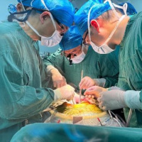 Tin quốc tế - Người đầu tiên trên thế giới ghép gan lợn chỉnh sửa gien ở Trung Quốc qua đời sau 171 ngày