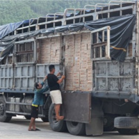 Tin trong nước - Vì sao hàng hoá thông quan qua cửa khẩu Cầu Treo giảm mạnh?