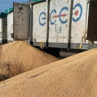 Tin quốc tế - 160 tấn ngũ cốc Ukraine bị phá hoại ở Ba Lan