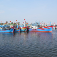 Tin trong nước - Minh bạch thông tin quản lý tàu cá, cấp bách gỡ thẻ vàng thuỷ sản