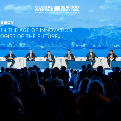 Vov - Viêt Nam Va Thê Gii