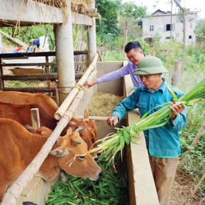 Vov - Viêt Nam Va Thê Gii