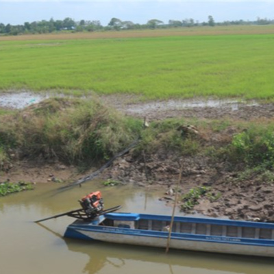 Vov - Viêt Nam Va Thê Gii