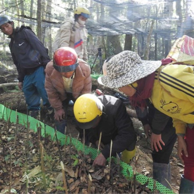 Vov - Viêt Nam Va Thê Gii